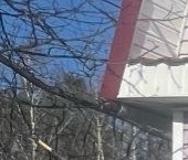 Продать Дачи, коттеджи, загородные дома Электросила-2 СНТ, улица 6-я Линия   