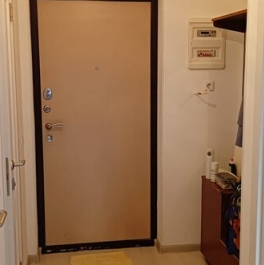 Продажа 1-комн квартиры на вторичном рынке Ветеранов пр-кт,  д. 169,  к. 3
