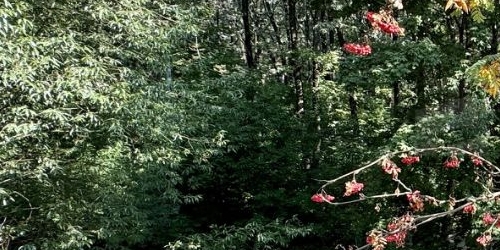 3-комн квартира Туристская улица, 2К5