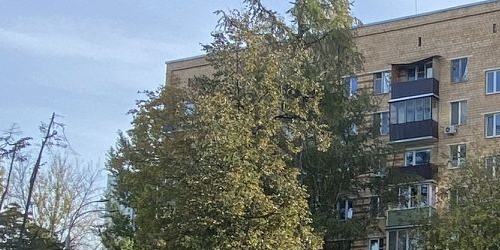 2-комн квартира улица Молодцова, 23К1