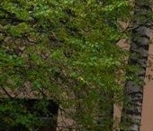 Продать Комнаты в квартирах Герасимовская улица, 3   