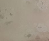 Сдать в аренду Квартиры вторичка Чехов, Весенняя улица, 20   