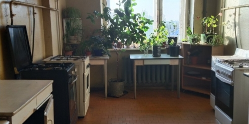 Комната Петергоф г., Володи Дубинина ул. ,  д. 12