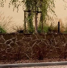 Продажа 4-комн квартиры на вторичном рынке Малодетскосельский проспект, 40 Продажа 4-комн квартиры на вторичном рынке Малодетскосельский проспект, 40