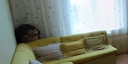 2-комн квартира Горелово тер., шоссе Красносельское, 52к1