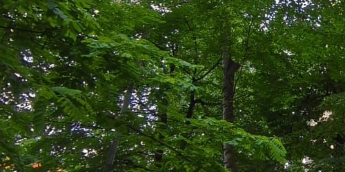 3-комн квартира улица Сущевский Вал, 13/1