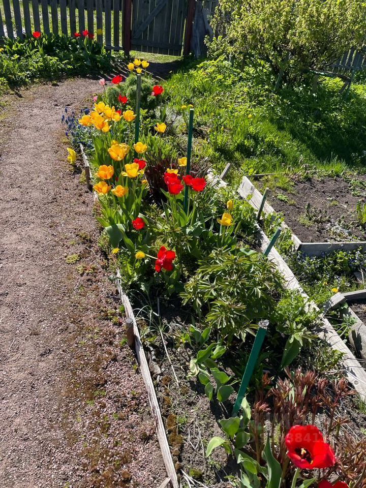 Продажа дома Новинка садоводческий массив, Виктория СНТ