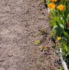 Продажа дома Новинка садоводческий массив, Виктория СНТ