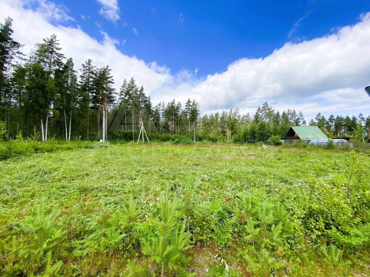 Продажа земли пос. Веснино, улица Кедровая, 21