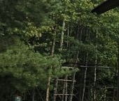 Продать Дачи, коттеджи, загородные дома Спутник СНТ, 291   