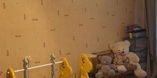 2-комн квартира пос. Шушары, Пушкинская улица, 20Б