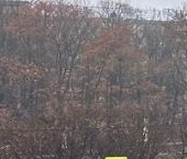 Продать Квартиры вторичка Ломоносовский проспект, 29к1   