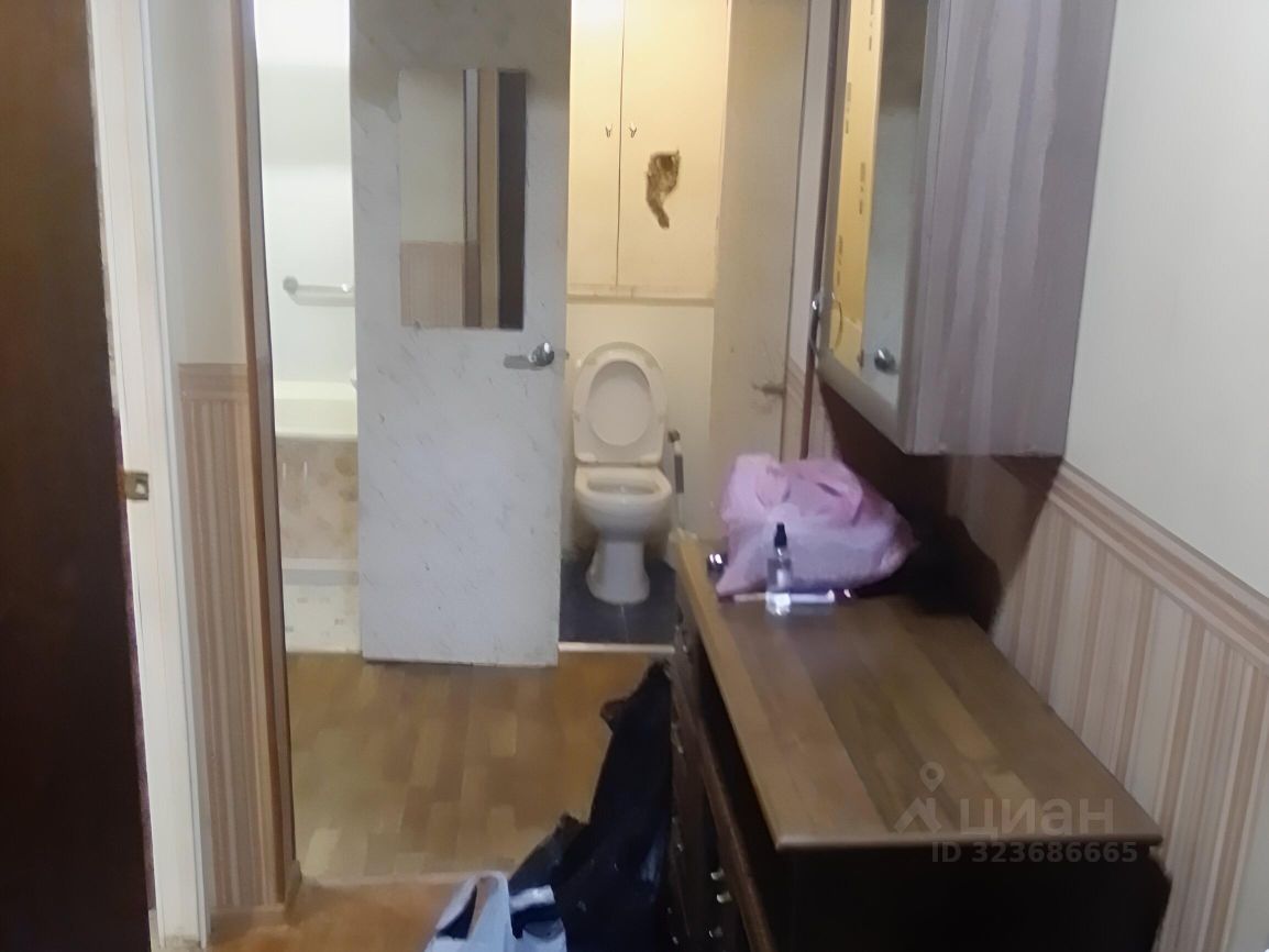 Аренда 1-комн квартиры на вторичном рынке д. Елизаветинка, улица Центральная, 1/48