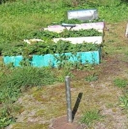 Продажа земли Лебяжье городской поселок Продажа земли Лебяжье городской поселок