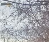 Продать Квартиры вторичка улица Стойкости, 17   