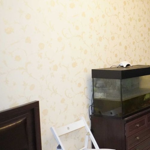 2-комн квартира пос. Парголово, Приозерское шоссе, 11к2