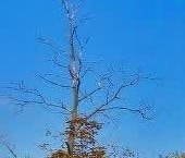 Продать Квартиры вторичка Багратионовский проезд, 1С2   