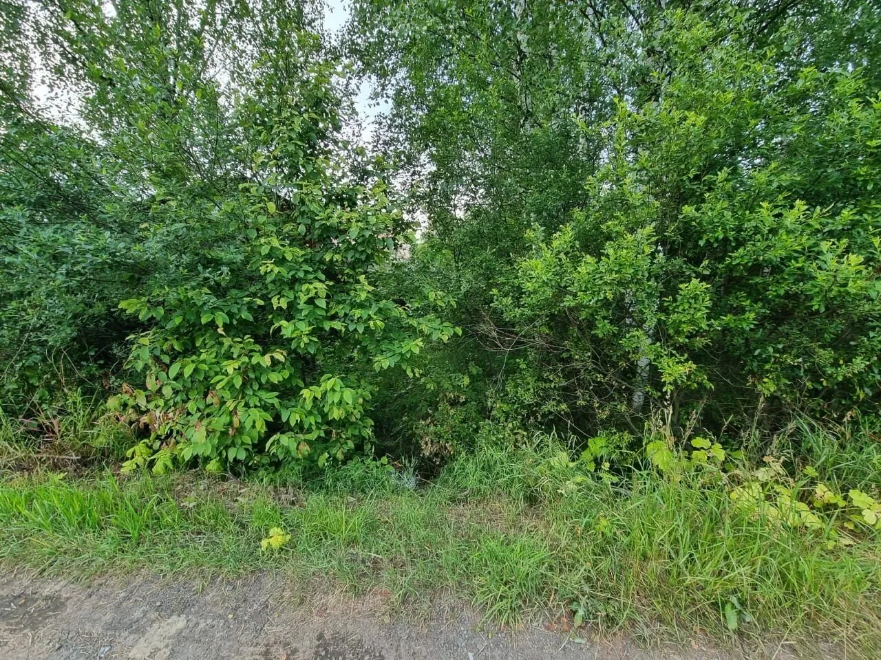 Продажа земли д. Аро, улица Луговая, 2А