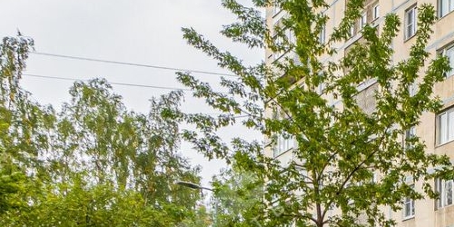 1-комн квартира улица Олеко Дундича, 11