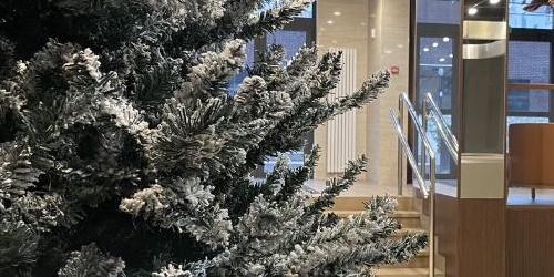 3-комн квартира Большая Разночинная улица, 21