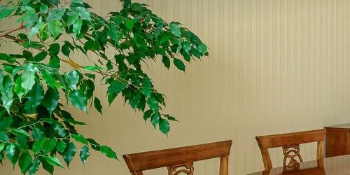 4-комн квартира Дибуновская улица, 50