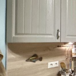 Продажа 2-комн квартиры на вторичном рынке Вольная улица, 28/4к3 Продажа 2-комн квартиры на вторичном рынке Вольная улица, 28/4к3