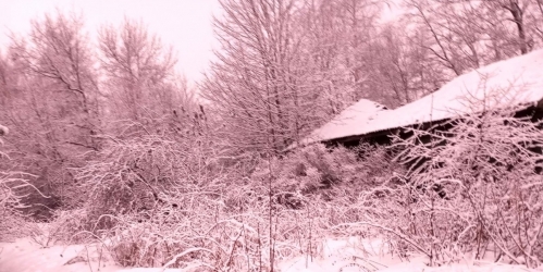 Коттедж/дом Ломоносов г., Горская ул. ,  д. 9