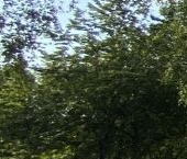 Продать Квартиры вторичка Раменское, Коммунистическая улица, 17   