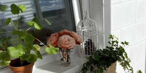 1-комн квартира Тосно г., улица Блинникова, 6