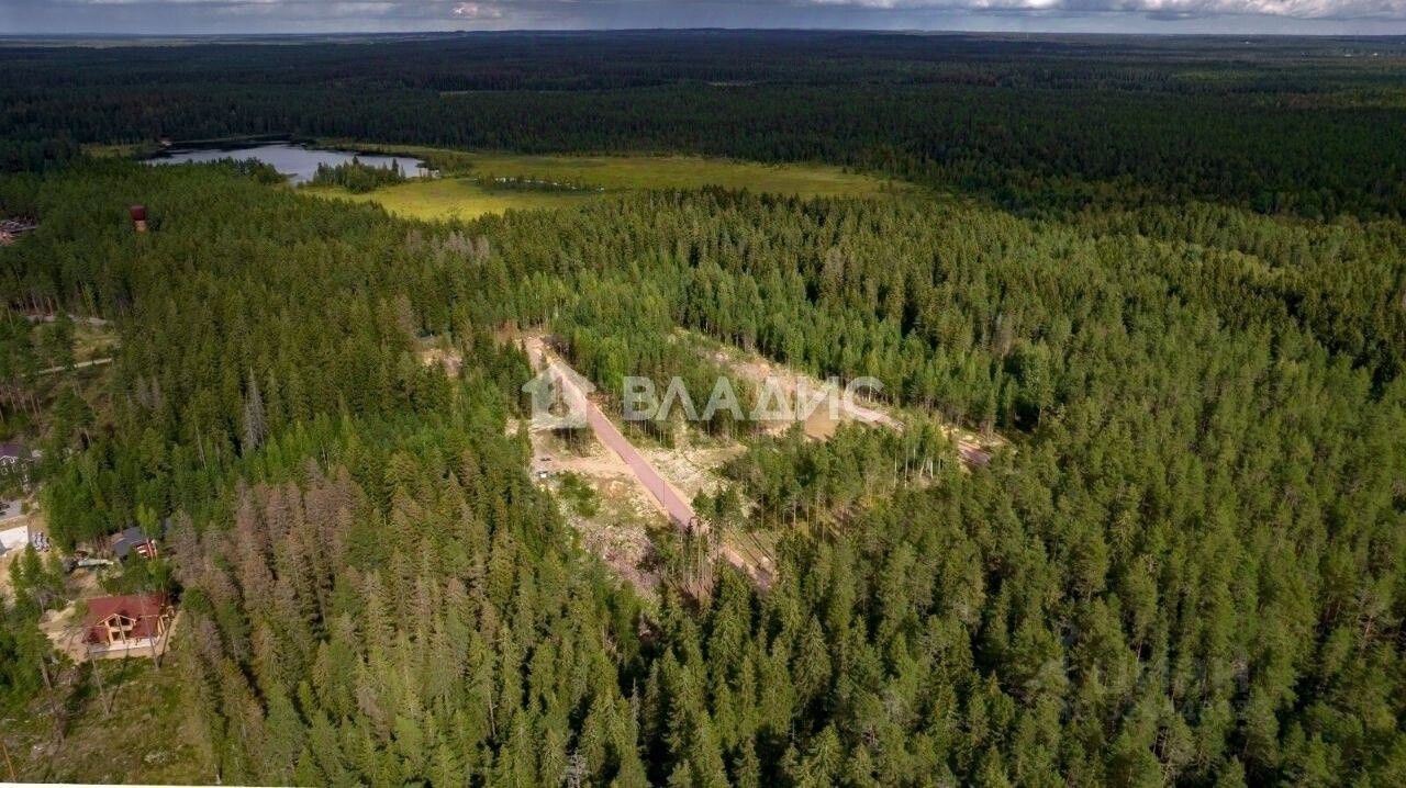 Продажа земли Рощино пгт, проезд Мельничный