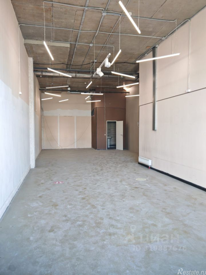 Аренда ПСН Заневский пр-кт,  д. 65