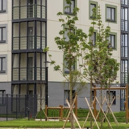 Студия пос. Янино-1, улица Тюльпанов, 1к1