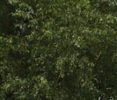 Продать Квартиры вторичка Новоселье городской поселок, 154   