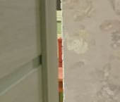 Сдать в аренду Квартиры вторичка Восточный мкр, д. Большие Жеребцы  1к1 