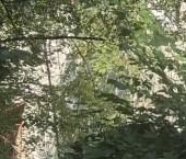 Продать Квартиры вторичка Ивантеевка, Оранжерейная улица  1 