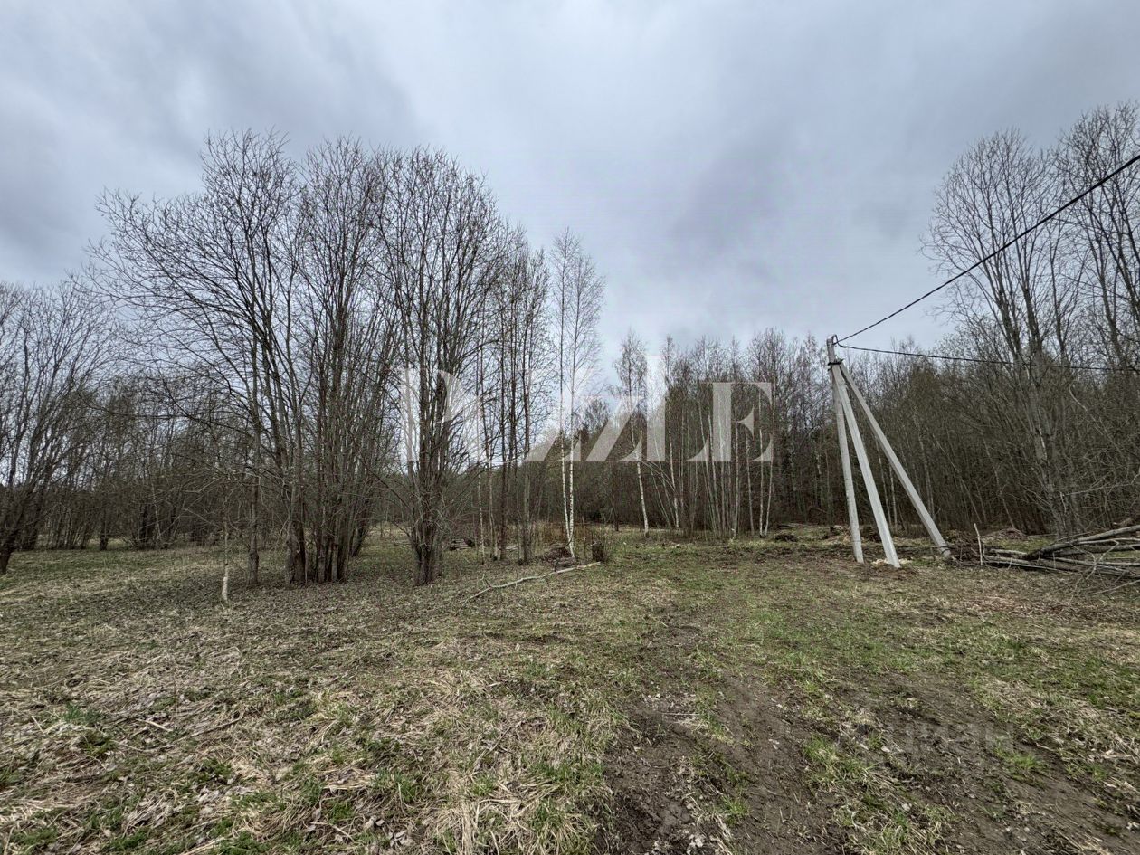 Продажа земли д. Лопухинка, 4