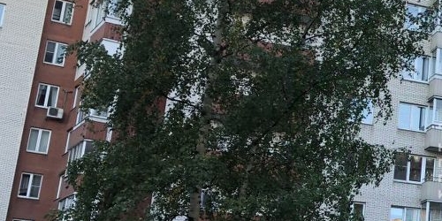 2-комн квартира улица Верности, 6к1