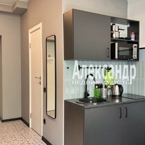 Студия улица Александра Невского, 9В