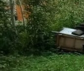 Продать Земельные участки, земля Дунай массив, улица Веселая   