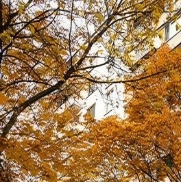 Продажа 1-комн квартиры на вторичном рынке Байкальская улица, 30К3 Продажа 1-комн квартиры на вторичном рынке Байкальская улица, 30К3