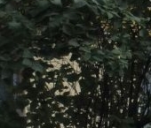 Продать Квартиры вторичка Подольск, Почтовая улица, 5   