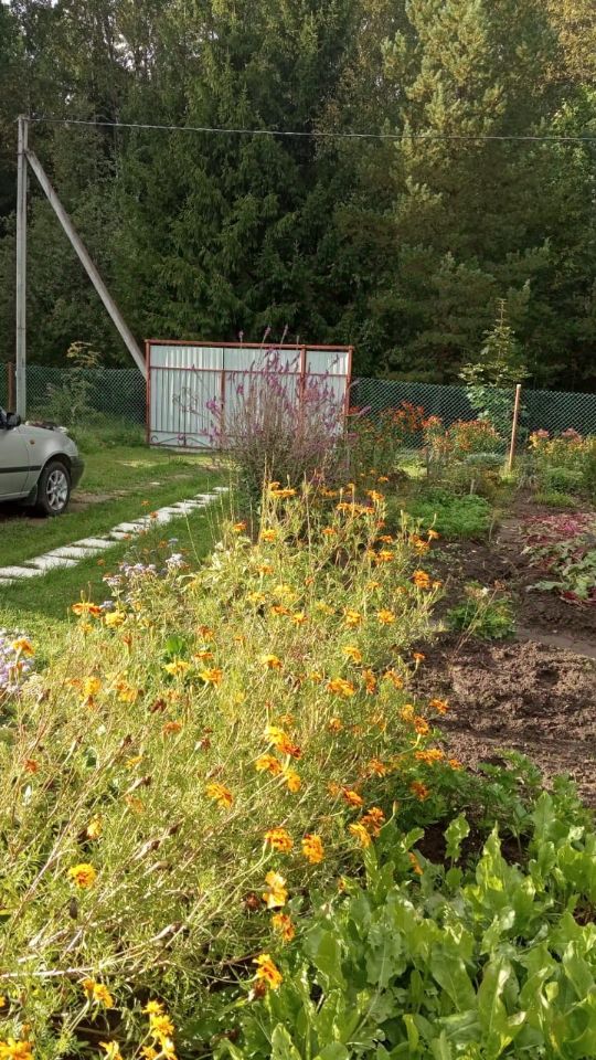 Продажа дома Кюльвия СНТ