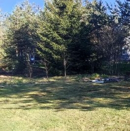 Продажа дома Родничковое СНТ, 147 Продажа дома Родничковое СНТ, 147