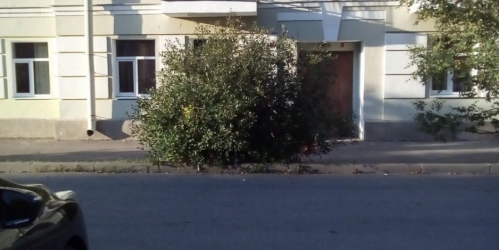 5-комн квартира Петергоф г., Эрлеровский бул. ,  д. 6