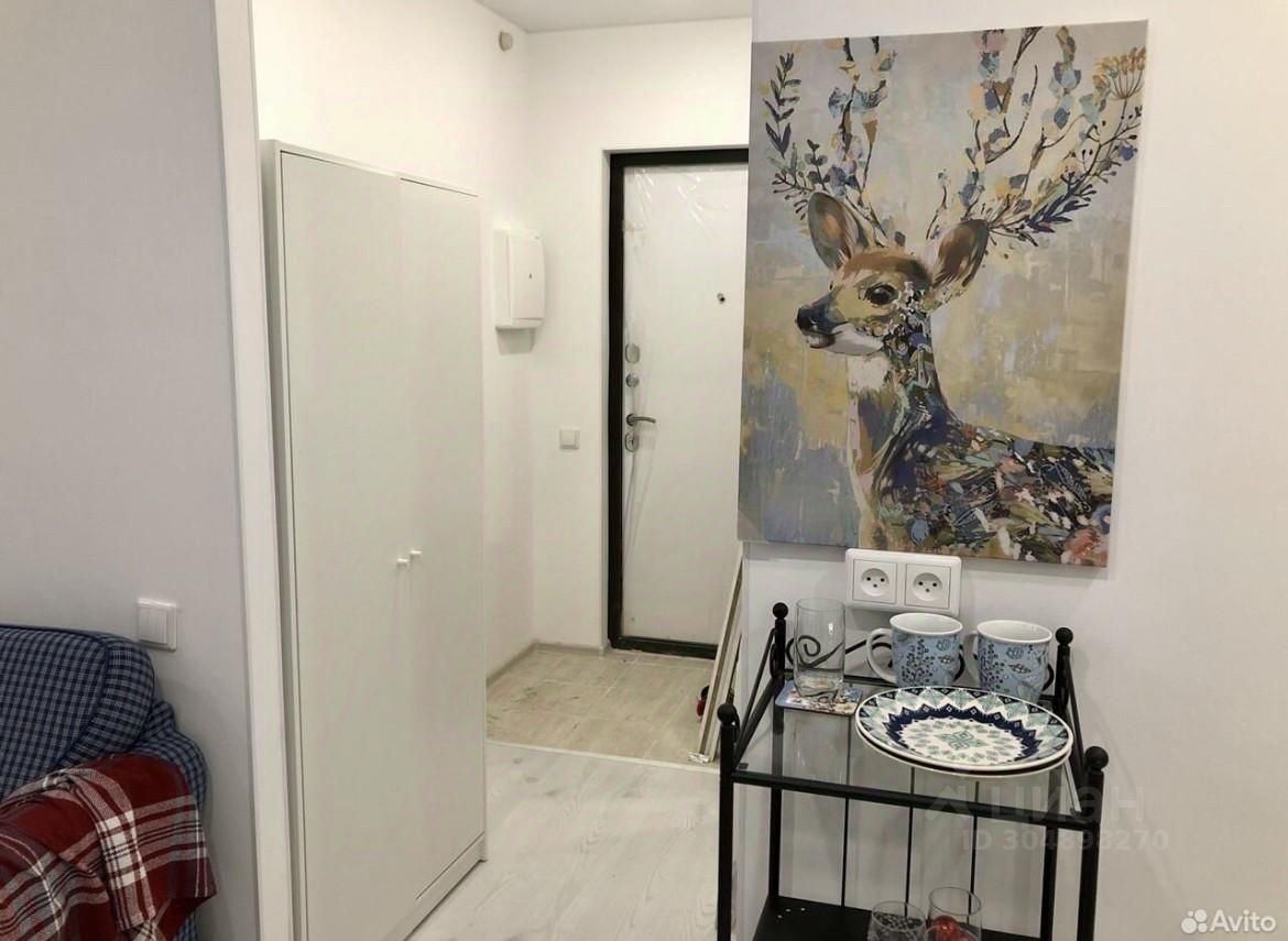 Аренда студии Мурино, проспект Ручьевский, 2