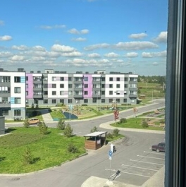 Продажа 1-комн квартиры на вторичном рынке Малое Верево, улица Кутышева,  д. 9 к2