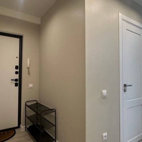 1-комн квартира Космонавтов пр-кт,  д. 30 к2