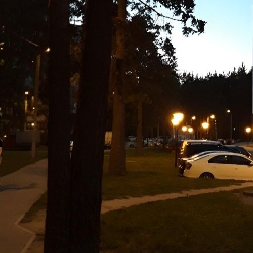 1-комн квартира Сертолово, Парковый проезд, 5