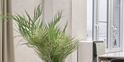 3-комн квартира Пионерская улица, 50