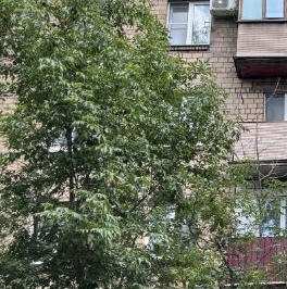 Продажа 1-комн квартиры на вторичном рынке улица Плеханова, 3К2 Продажа 1-комн квартиры на вторичном рынке улица Плеханова, 3К2